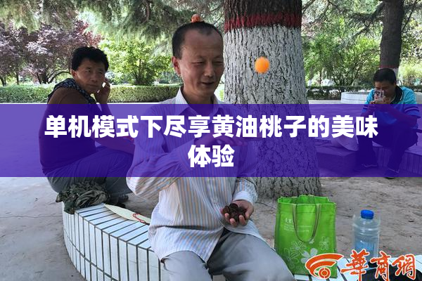 单机模式下尽享黄油桃子的美味体验