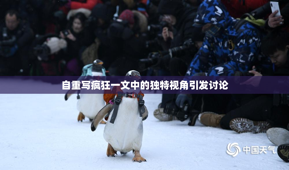 自重写疯狂一文中的独特视角引发讨论