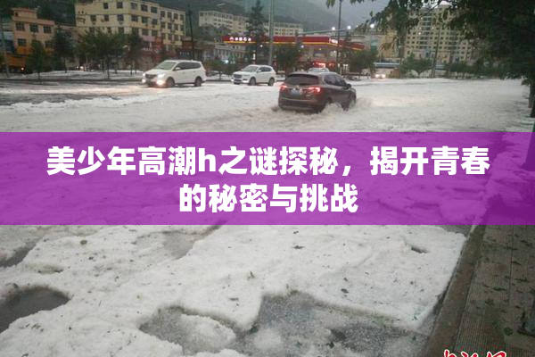 美少年高潮h之谜探秘，揭开青春的秘密与挑战