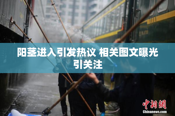 阳茎进入引发热议 相关图文曝光引关注