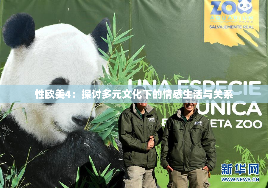性欧美4：探讨多元文化下的情感生活与关系