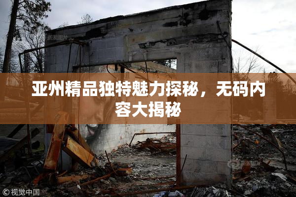 亚州精品独特魅力探秘，无码内容大揭秘