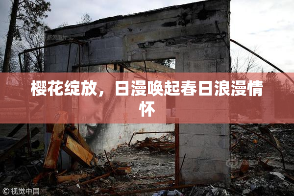 樱花绽放，日漫唤起春日浪漫情怀