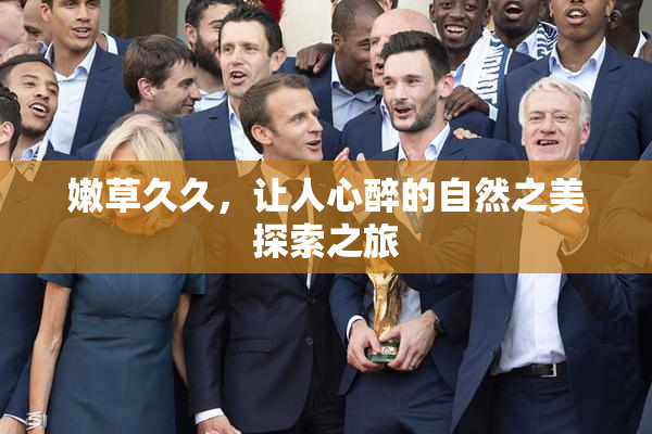 嫩草久久，让人心醉的自然之美探索之旅