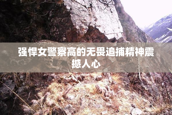强悍女警察高的无畏追捕精神震撼人心