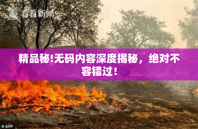 精品秘!无码内容深度揭秘，绝对不容错过！