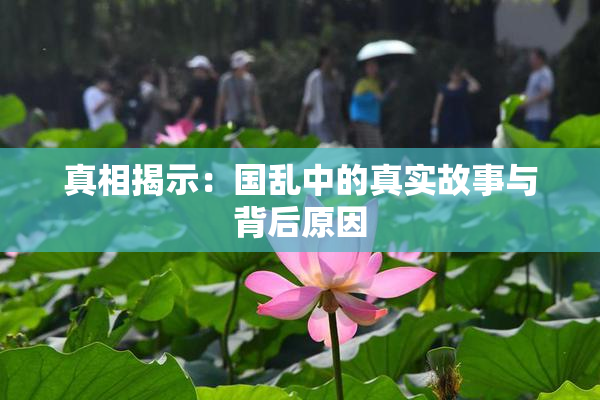 真相揭示：国乱中的真实故事与背后原因