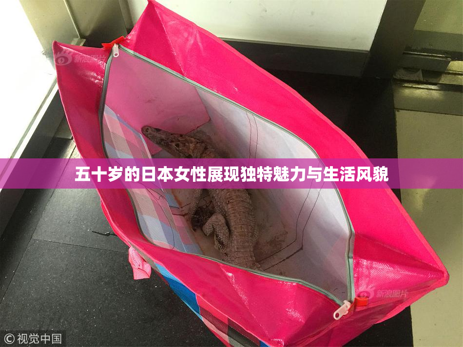五十岁的日本女性展现独特魅力与生活风貌