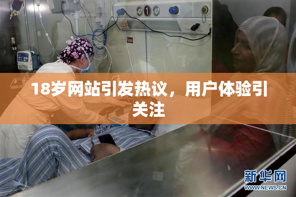 18岁网站引发热议，用户体验引关注