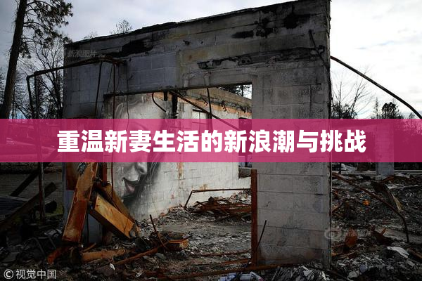 重温新妻生活的新浪潮与挑战