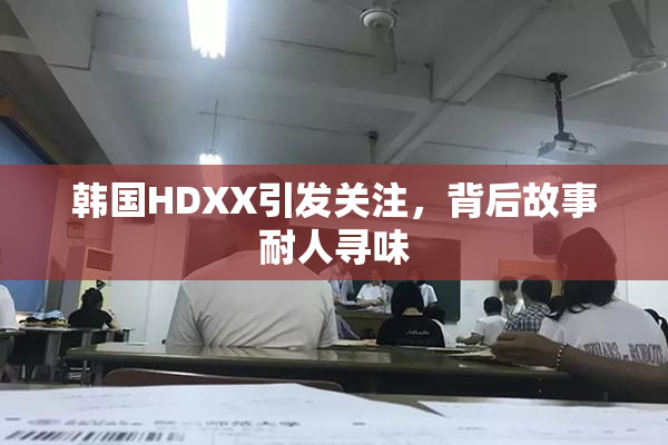 韩国HDXX引发关注，背后故事耐人寻味