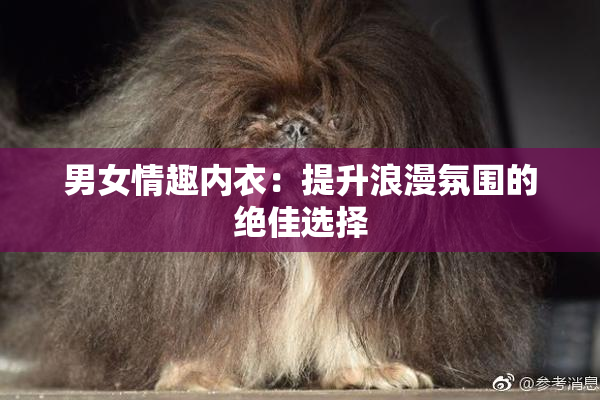 男女情趣内衣：提升浪漫氛围的绝佳选择