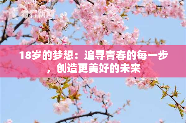 18岁的梦想：追寻青春的每一步，创造更美好的未来