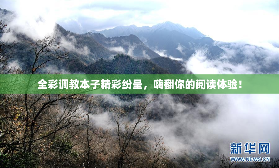 全彩调教本子精彩纷呈，嗨翻你的阅读体验！
