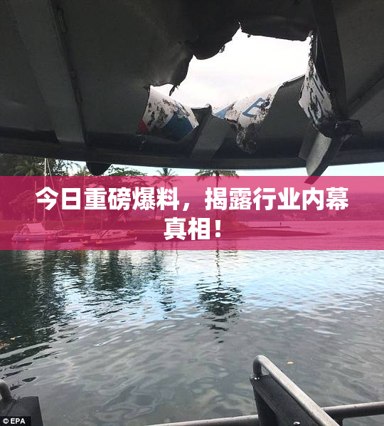 今日重磅爆料，揭露行业内幕真相！