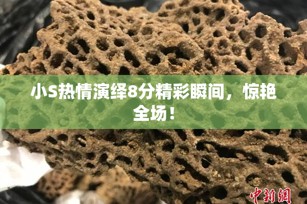 小S热情演绎8分精彩瞬间，惊艳全场！