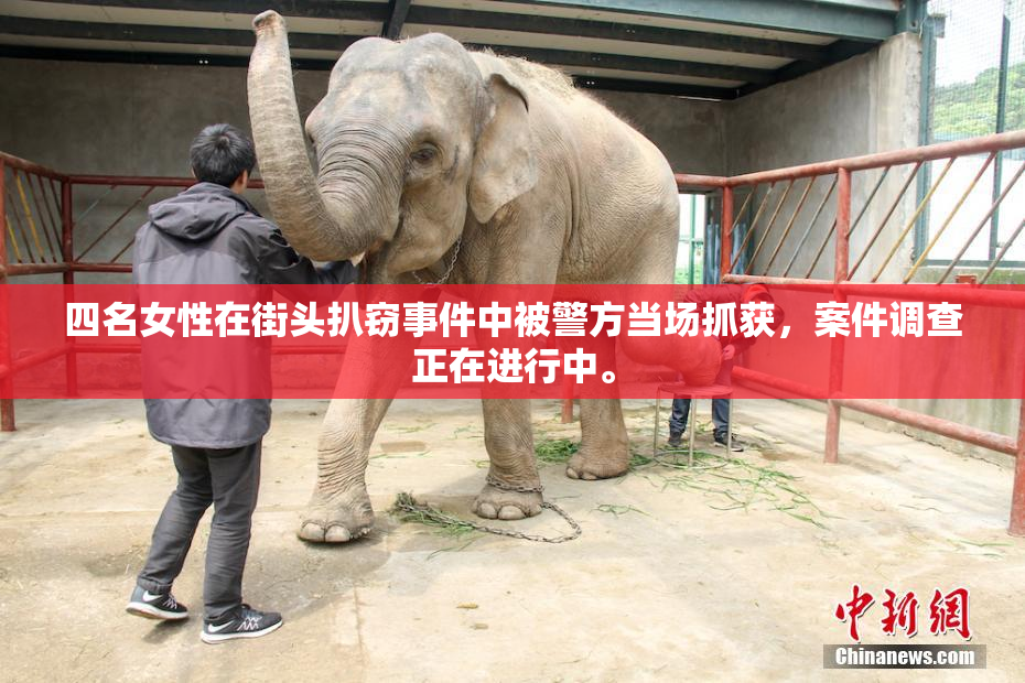 四名女性在街头扒窃事件中被警方当场抓获，案件调查正在进行中。