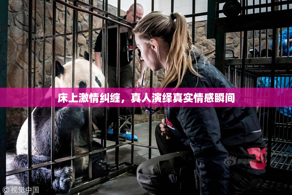 床上激情纠缠，真人演绎真实情感瞬间
