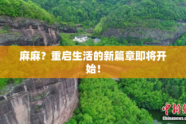 麻麻？重启生活的新篇章即将开始！