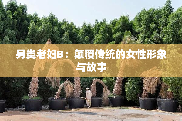 另类老妇B：颠覆传统的女性形象与故事