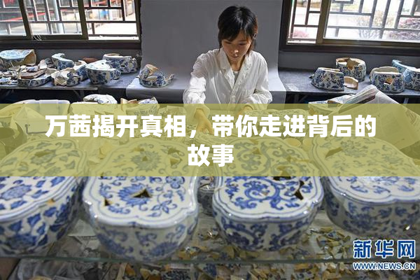万茜揭开真相，带你走进背后的故事