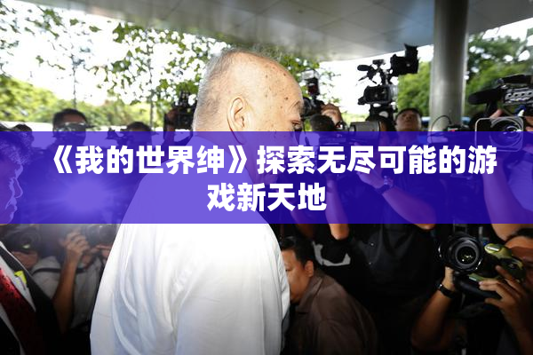 《我的世界绅》探索无尽可能的游戏新天地