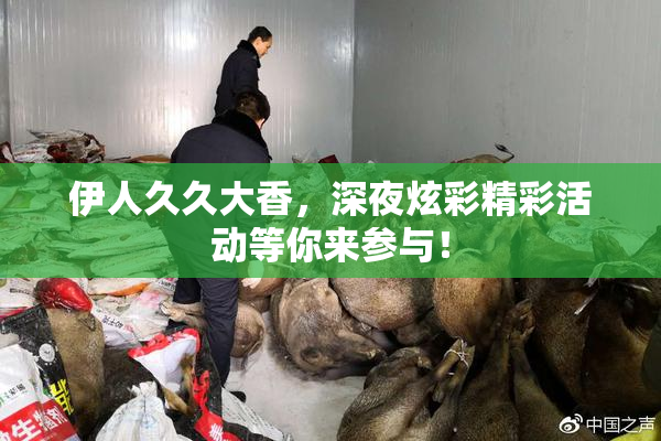 伊人久久大香，深夜炫彩精彩活动等你来参与！