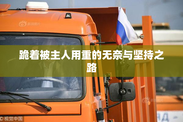 跪着被主人用重的无奈与坚持之路