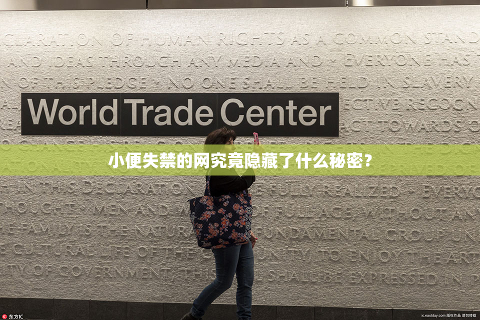 小便失禁的网究竟隐藏了什么秘密？