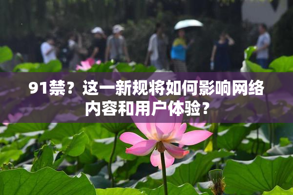 91禁？这一新规将如何影响网络内容和用户体验？
