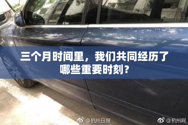 三个月时间里，我们共同经历了哪些重要时刻？