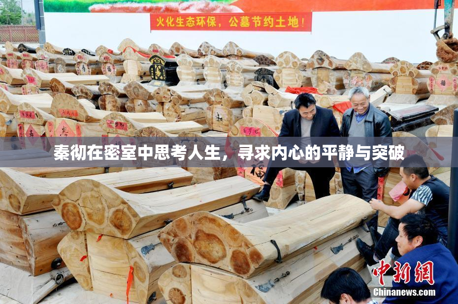 秦彻在密室中思考人生，寻求内心的平静与突破