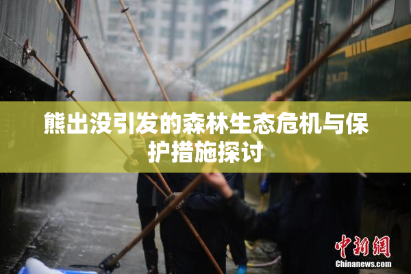 熊出没引发的森林生态危机与保护措施探讨