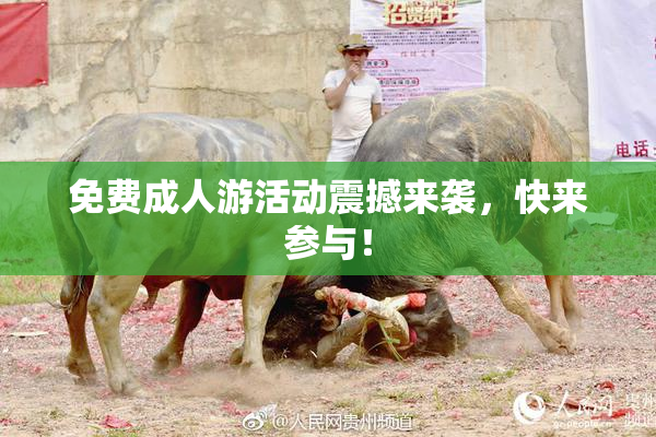 免费成人游活动震撼来袭，快来参与！