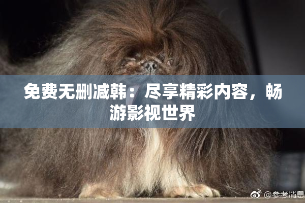 免费无删减韩：尽享精彩内容，畅游影视世界