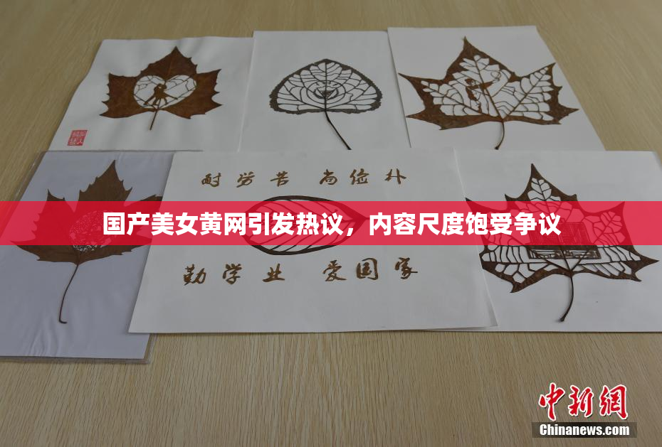 国产美女黄网引发热议，内容尺度饱受争议