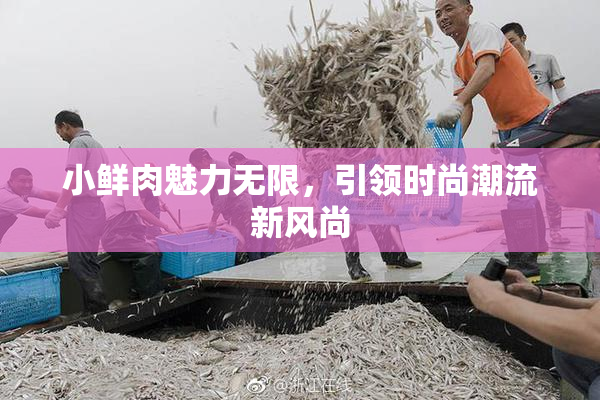 小鲜肉魅力无限，引领时尚潮流新风尚