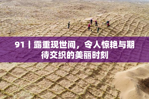 91丨露重现世间，令人惊艳与期待交织的美丽时刻