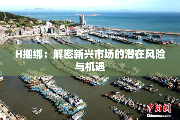 H捆绑：解密新兴市场的潜在风险与机遇