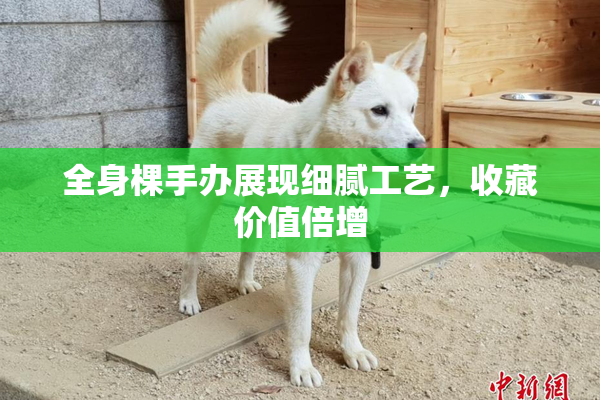 全身棵手办展现细腻工艺，收藏价值倍增