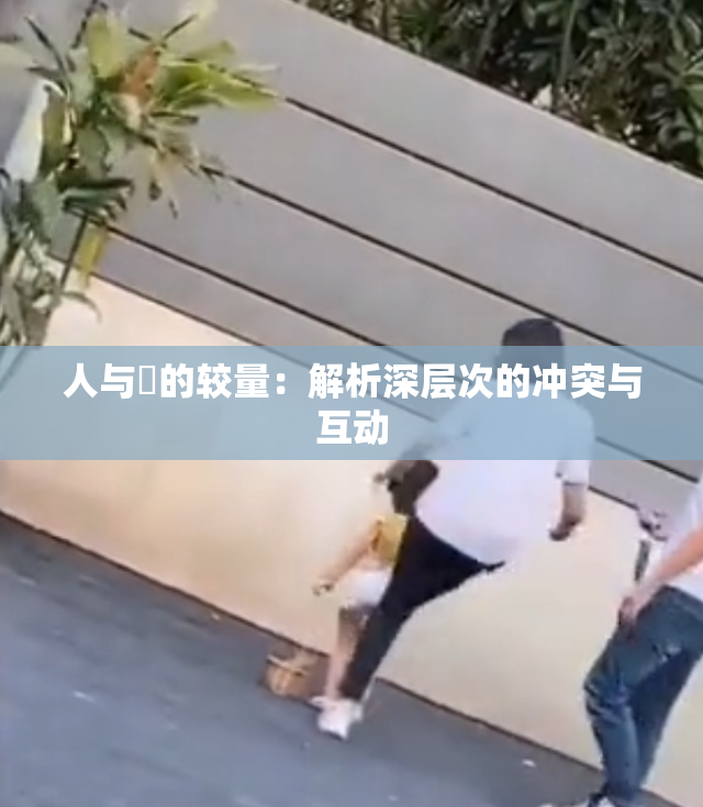 人与嘼的较量：解析深层次的冲突与互动