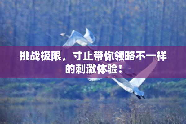 挑战极限，寸止带你领略不一样的刺激体验！