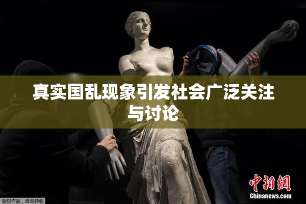 真实国乱现象引发社会广泛关注与讨论