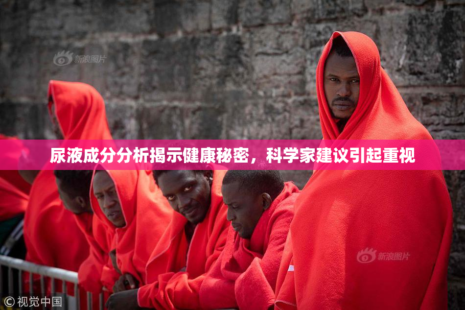 尿液成分分析揭示健康秘密，科学家建议引起重视