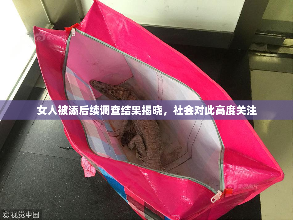 女人被添后续调查结果揭晓，社会对此高度关注