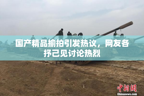 国产精品揄拍引发热议，网友各抒己见讨论热烈