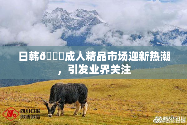 日韩🔞成人精品市场迎新热潮，引发业界关注