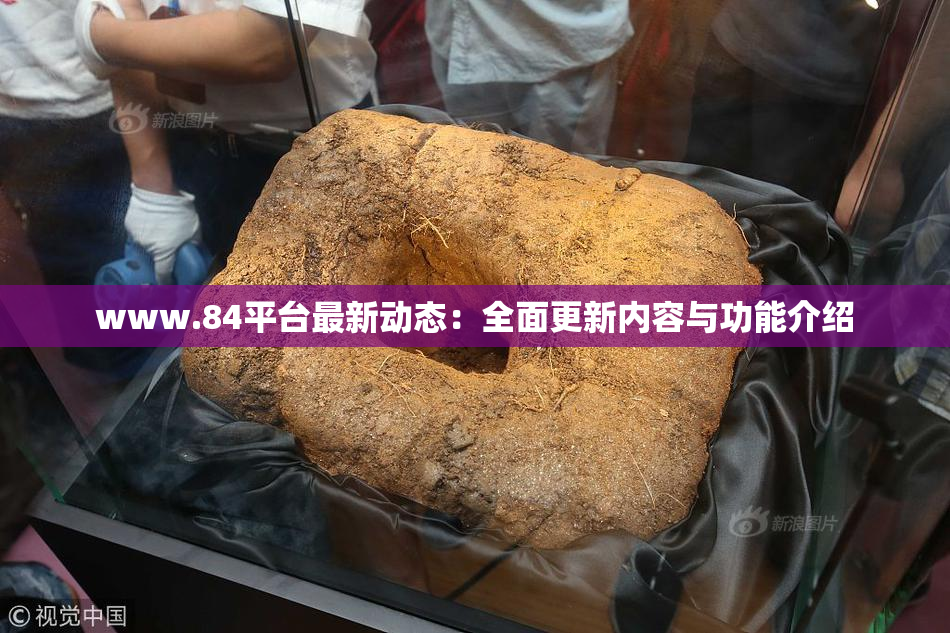 www.84平台最新动态：全面更新内容与功能介绍