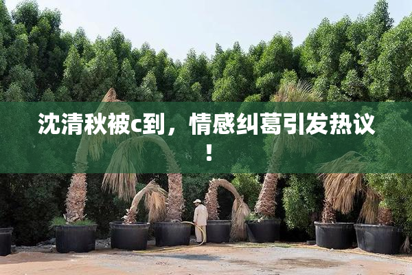 沈清秋被c到，情感纠葛引发热议！