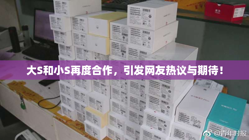 大S和小S再度合作，引发网友热议与期待！